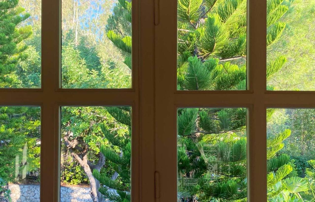 Vkastri Vasiliki Quarto foto